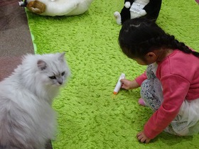 DSC00905.jpg