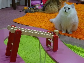 DSC01420.jpg