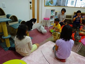 DSC02338.jpg