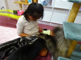 DSC02345.jpg