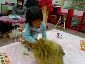 DSC02733.jpg