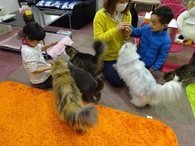 DSC02902.jpg