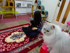 DSC03675.jpg