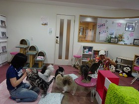 DSC06129.jpg