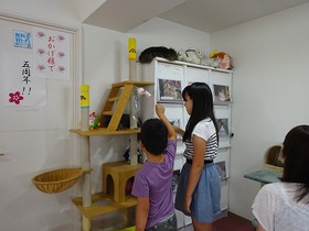 DSC07184.jpg