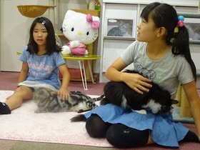 小学６年生の女の子 二人で初めてねこ喫茶とうせいへ 神奈川県相模原 ブログ 神奈川県 相模原市 淵野辺のカフェ ねこ喫茶とうせい