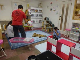 DSC08240.jpg