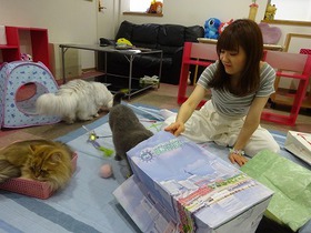 DSC08307.jpg